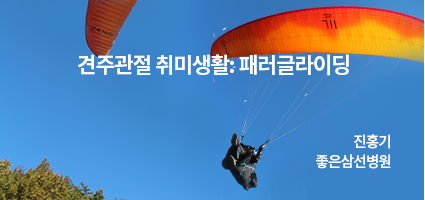 나의 장기 연수기 Rush University in Chicago with Dr. Anthony Romeo / 서울백병원 장석환