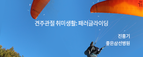 나의 장기 연수기 Rush University in Chicago with Dr. Anthony Romeo / 서울백병원 장석환