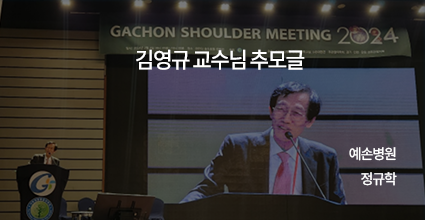 김영규 교수님 추모글