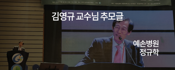 김영규 교수님 추모글